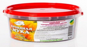 Jak používat krevní moučku k oplodnění a správně ji vyrobit